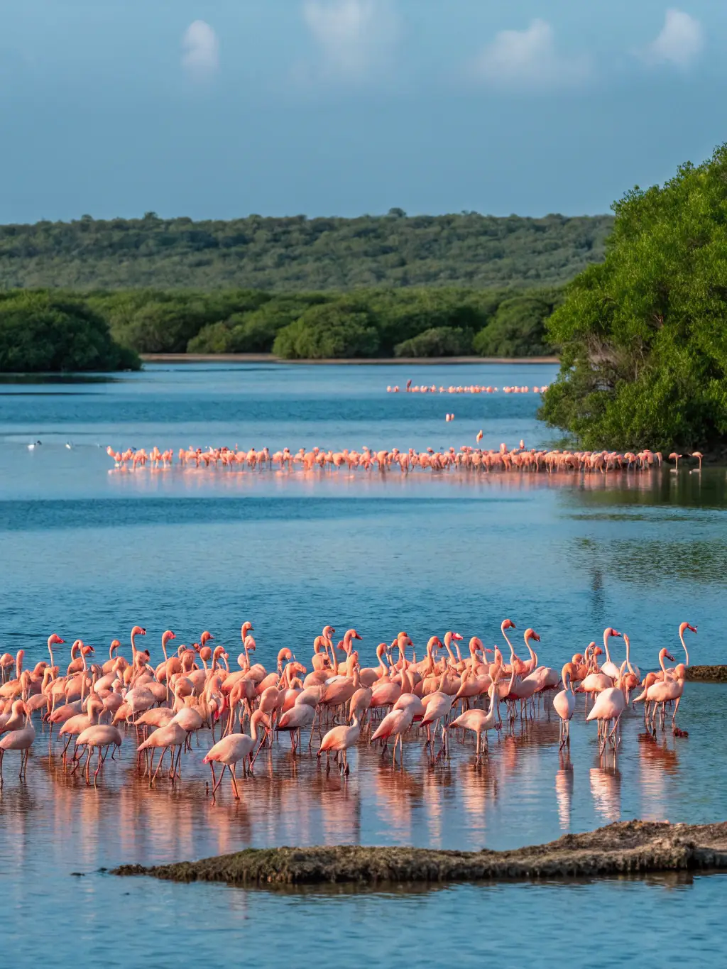 A picturesque scene of flamingos wading in Lake Nakuru, Kenya, creating a pink hue across the water, with the surrounding landscape in soft focus.